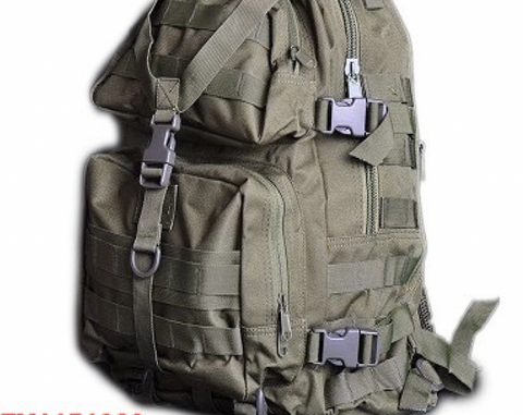 Canvas Backpacks