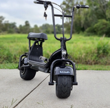 The Kush Mini Steezer scooter