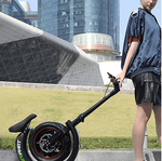 Mini Phat Folding Scooter